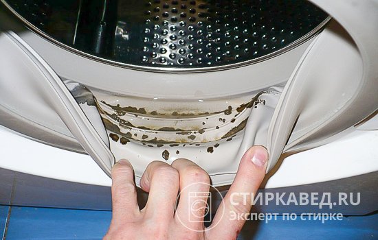 Плесень часто появляется на резиновой манжете в люке стиральной машины